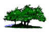 Northwest West Inc. logo — green tree